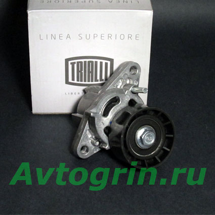 ����� ����� ���������� � ����������� �������� (� ���, � ����.) �����/�������/������ TRIALLI
