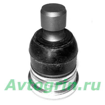 ������� ����� Nissan Juke F15 / Tiida C11